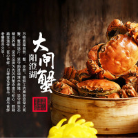 阳澄湖大闸蟹1488型三选一