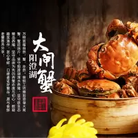 阳澄湖大闸蟹358型