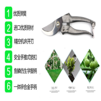 小海牛 不锈钢摘果稀果剪黑枸杞子疏花葡萄采摘剪刀加长园艺剪枝剪 单个价