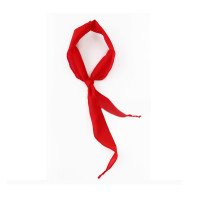 华祺腾达 小学生红领巾10条装（HuaQi-700175）