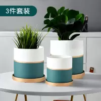 墨斗鱼 莫兰迪陶瓷花盆绿 白色 带托盘3件套 大中小