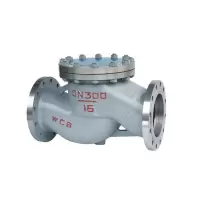 MD 止回阀 DN50 H41H重型 64C