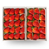 四季新鲜草莓大果4盒/件(单位:件)