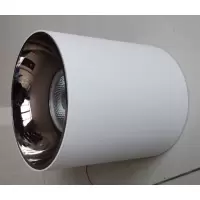 LED成品灯具,LED/ 45W 4000K 24度,Φ162*H170