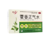 康森 huo香正气水10ml*10支 防暑中暑胃肠风寒感冒呕吐腹泻