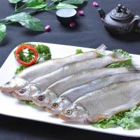 [江苏乡村振兴][财政集采][泗洪]苏合 西南岗白鱼 1.3kg 新