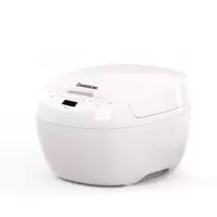 长虹 长虹电炖锅DDZ-20S10