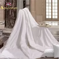 Aquascutum雅格狮丹 玻尿酸抗菌美肤三件套 2m*2.3m
