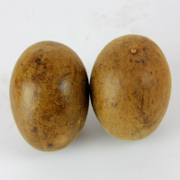 林中仙罗汉果15g(代泡茶)