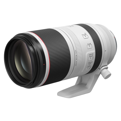 佳能(Canon)RF100-500mm F4.5-7.1 L IS USM 超远变焦镜头 RF全画幅微单专用