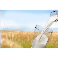 蒙牛(MENGNIU)中秋大礼包（纯牛奶*酸奶*坚果）