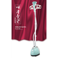 荣事达 RS-GT189 挂烫机