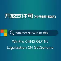 微软OfficeStd 2019 CHNS OLP NL（微软（Microsoft） 微软/开放式授权标准版）