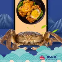蟹小萌 大闸蟹礼盒 568型8只装 中秋螃蟹礼盒 海鲜水产