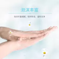 洗手液(6瓶装)
