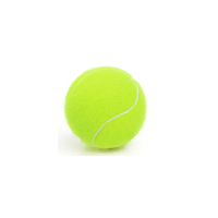 网球初学训练球无标网球青少年成人初学用球无压球