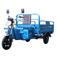 奔腾 1.5*1米 60V 800w 液晶仪表 电动三轮车(辆)