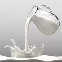 蒙牛(MENGNIU) 纯牛奶250ml*12盒