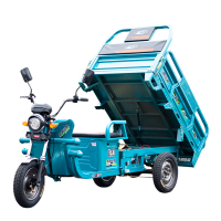 国威三阳爬坡电动三轮车(车厢尺寸:1.5米,宽1米 总长2.9米)