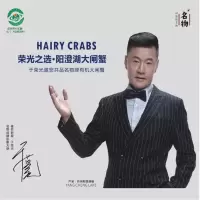 名物 名物阳澄湖大闸蟹 原产地直送大闸蟹 中秋佳品 中秋大闸蟹礼盒 生鲜鲜活水产 单盒价