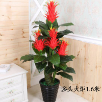 阻燃绿植 多头火炬1.6米