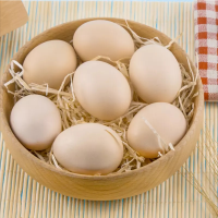 农家新鲜初生鸡蛋