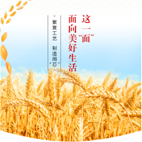 华祺腾达 面粉 中筋面粉 多用途麦芯小麦粉10公斤 (HuaQi-800349)