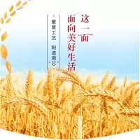 华祺腾达 面粉 中筋面粉 多用途麦芯小麦粉10公斤 (HuaQi-800349)