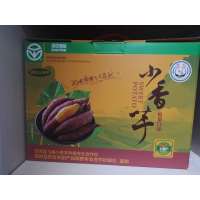 [江苏乡村振兴][财政集采][泗洪]西南岗 小香芋 2.5kg