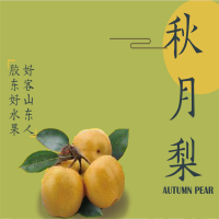 王记膳燕 山东秋月梨 精品梨 雪梨蜜梨 泡沫箱通货5斤装(6-9粒)新鲜水果 滋补润肺 富含营养蛋白质铁钙 单盒价