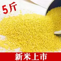[江苏乡村振兴][财政集采][丰县]桃小淘 黄小米5斤装