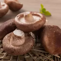 [江苏乡村振兴][财政集采][丰县]桃小淘 新鲜香菇5斤装