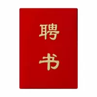 宝克绒面发泡浮雕聘书8K