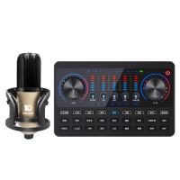 十盏灯V10黑色蓝牙版网红直播设备声卡套装手机唱歌专用全套主播喊麦装备电容麦克风通用录音抖修音k歌跑调神器快手 土豪金