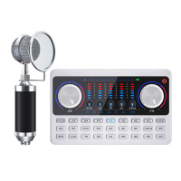 十盏灯V10白色蓝牙版网红直播设备声卡套装手机唱歌专用全套主播喊麦装备电容麦克风通用录音抖修音k歌跑调神器快手 奶瓶黑