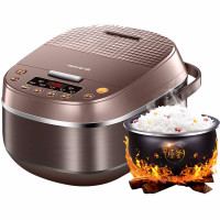 九阳电饭煲F-40FY813