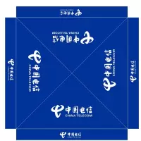 拓野户外 电信帐篷 广告帐篷 3米*3米 蓝色 (4cm加粗支架款)