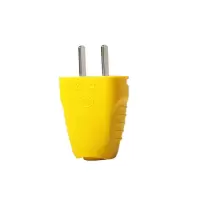 (五金工具） 公牛 两角插头 10L4（金辉定制）
