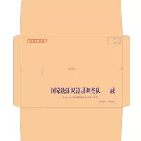 纸制品牛皮纸信封A4