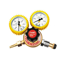 波斯BS473583丙烷减压表