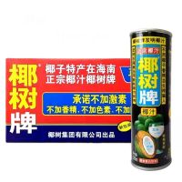 听装正宗椰树牌椰汁海南特产饮料245ml*15罐装整箱饮品椰子奶