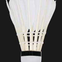 羽毛球 飞行稳定坚韧耐打训练用羽球