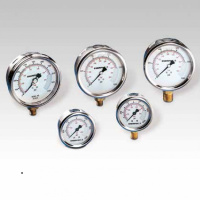 (五金工具) 恩派克 Enerpac GP10SM 压力表 1个