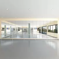 定制舞蹈房镜子无框玻璃镜2700*1350mm(5块)