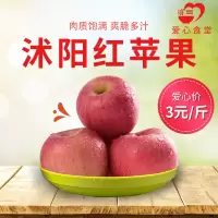 [江苏扶贫][财政集采][沭阳]虞美人 红苹果(70果)17.5kg*1箱