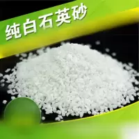 白沙子粗中细石子沙鱼缸底砂石英砂细白沙白盆景烟灰桶细白砂石5斤
