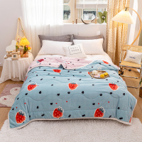 胡夫家纺(HUFU)云貂绒夹棉盖毯苏D3198小