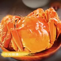 [御澄蟹业]阳澄湖大闸蟹礼盒 280型