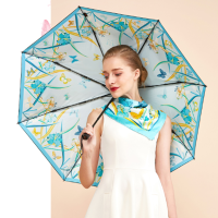 奥罗拉仲夏夜之梦雨伞丝巾套装