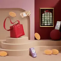圆满臻萃 冰淇淋月饼